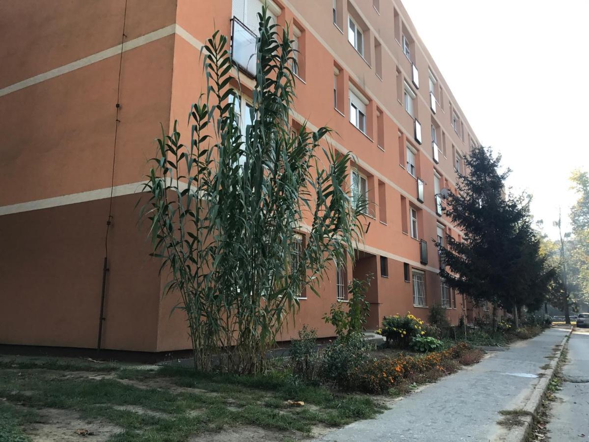 캐스포바 La Bella Maria Apartman 2. 아파트 외부 사진
